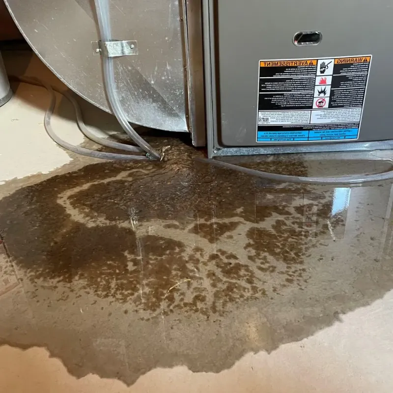Pipe Burst and Leak Restoration in Lowell, MA