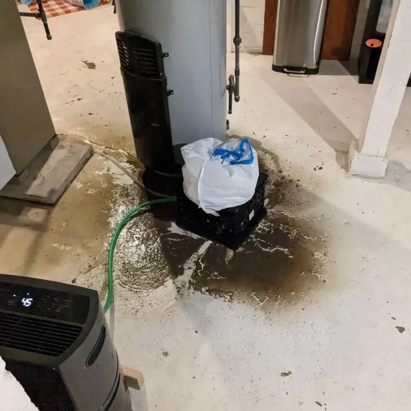 Sewage Backup Cleanup Service in Lowell, MA
